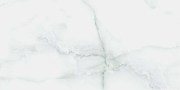 IRIS-60X120